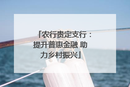 农行贵定支行：提升普惠金融 助力乡村振兴